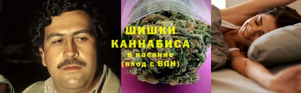 гидра Алексеевка