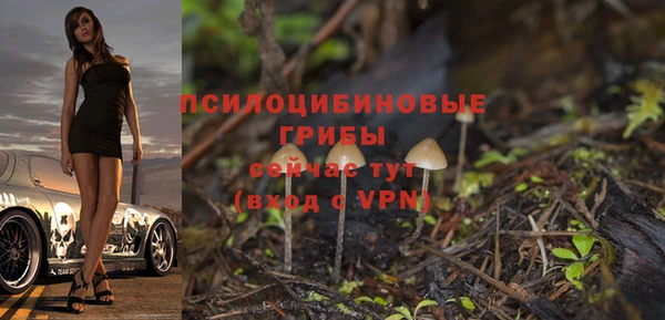 PSILOCYBIN Алексин