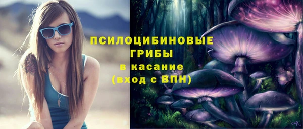 PSILOCYBIN Алексин